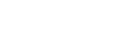Developer