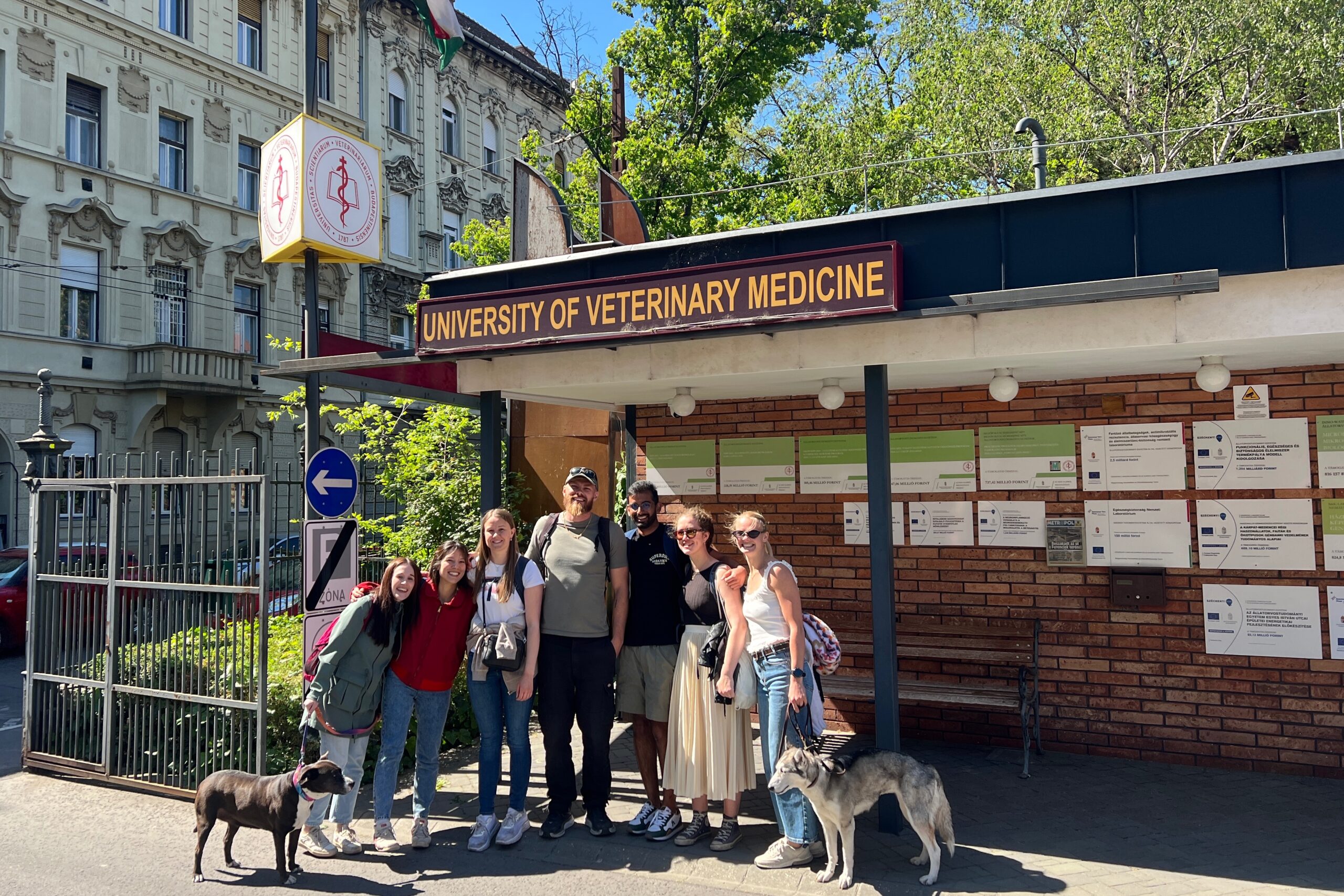 Veterinärstudier i Budapest